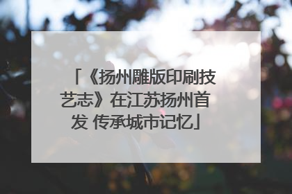 《扬州雕版印刷技艺志》在江苏扬州首发 传承城市记忆