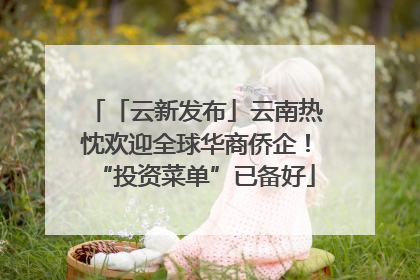 「云新发布」云南热忱欢迎全球华商侨企！“投资菜单”已备好