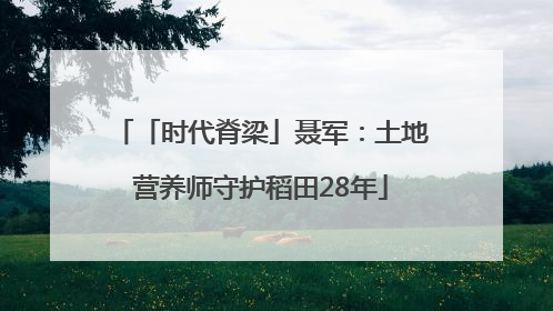 「时代脊梁」聂军：土地营养师守护稻田28年