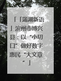 「蒲湖新语」滨州市博兴县：以“小切口”做好数字惠民“大文章”