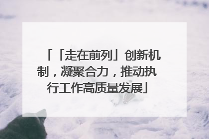 「走在前列」创新机制，凝聚合力，推动执行工作高质量发展