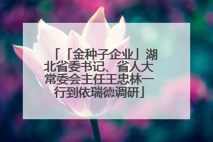 「金种子企业」湖北省委书记、省人大常委会主任王忠林一行到依瑞德调研