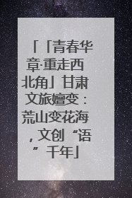「青春华章·重走西北角」甘肃文旅嬗变：荒山变花海，文创“语”千年