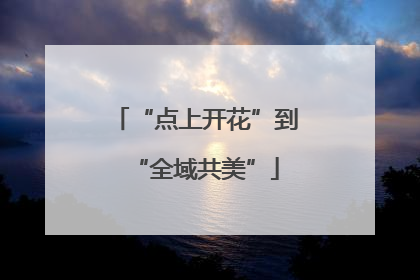 “点上开花”到“全域共美”