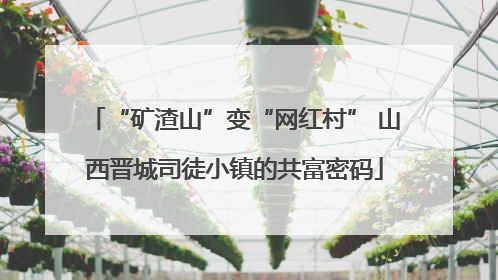 “矿渣山”变“网红村” 山西晋城司徒小镇的共富密码