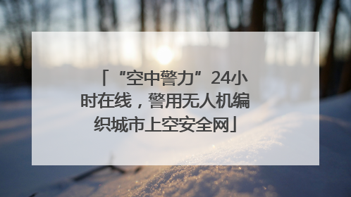 “空中警力”24小时在线，警用无人机编织城市上空安全网