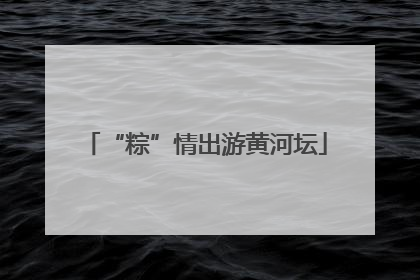 “粽”情出游黄河坛