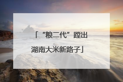 “粮二代”蹚出湖南大米新路子