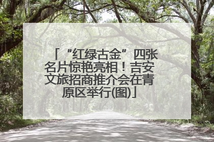 “红绿古金”四张名片惊艳亮相！吉安文旅招商推介会在青原区举行(图)