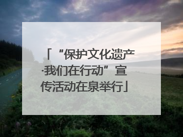 “保护文化遗产·我们在行动”宣传活动在泉举行
