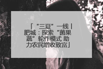 “三夏”一线丨肥城：探索“菌果蔬”轮作模式 助力农民增收致富