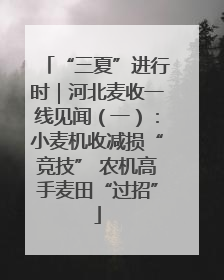“三夏”进行时｜河北麦收一线见闻（一）：小麦机收减损“竞技” 农机高手麦田“过招”