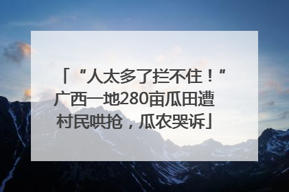 “人太多了拦不住！”广西一地280亩瓜田遭村民哄抢，瓜农哭诉