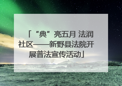 “典”亮五月 法润社区——新野县法院开展普法宣传活动