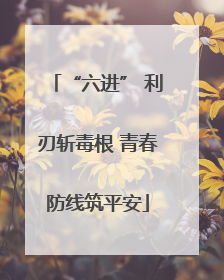 “六进” 利刃斩毒根 青春防线筑平安