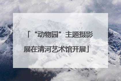 “动物园”主题摄影展在清河艺术馆开展