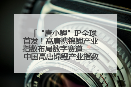 “唐小鲤”IP全球首发！高唐携锦鲤产业指数布局数字赛道——中国高唐锦鲤产业指数暨“唐小鲤”IP全球首发仪式在杭州举行