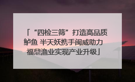 “四检三筛”打造高品质鲈鱼 半天妖携手闽威助力福鼎渔业实现产业升级