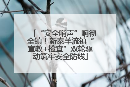 “安全哨声”响彻全镇！新泰羊流镇“宣教+检查”双轮驱动筑牢安全防线