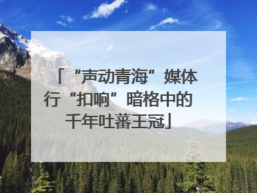 “声动青海”媒体行“扣响”暗格中的千年吐蕃王冠
