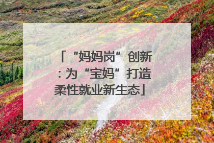 “妈妈岗”创新：为“宝妈”打造柔性就业新生态