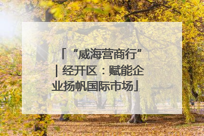 “威海营商行”｜经开区：赋能企业扬帆国际市场