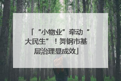 “小物业”牵动“大民生”！舞钢市基层治理显成效