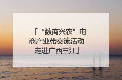 “数商兴农”电商产业带交流活动走进广西三江
