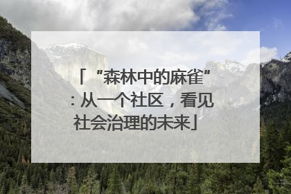 “森林中的麻雀”：从一个社区，看见社会治理的未来