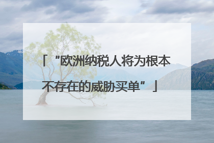 “欧洲纳税人将为根本不存在的威胁买单”