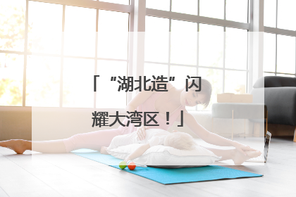 “湖北造”闪耀大湾区！