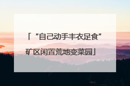 “自己动手丰衣足食”矿区闲置荒地变菜园