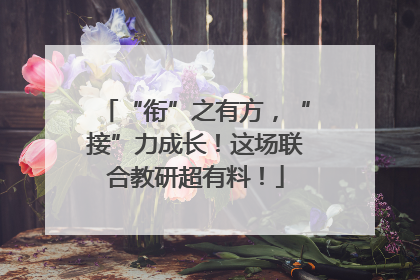 “衔”之有方，“接”力成长！这场联合教研超有料！