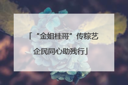 “金姐桂哥”传粽艺 企民同心助残行