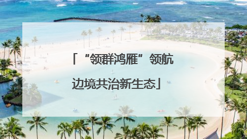 “领群鸿雁”领航边境共治新生态