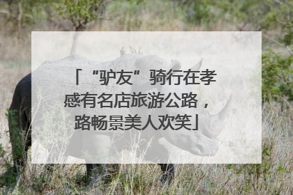 “驴友”骑行在孝感有名店旅游公路，路畅景美人欢笑
