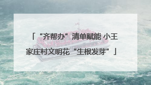 “齐帮办”清单赋能 小王家庄村文明花“生根发芽”