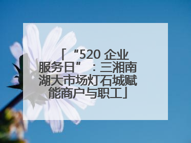 “520 企业服务日”：三湘南湖大市场灯石城赋能商户与职工