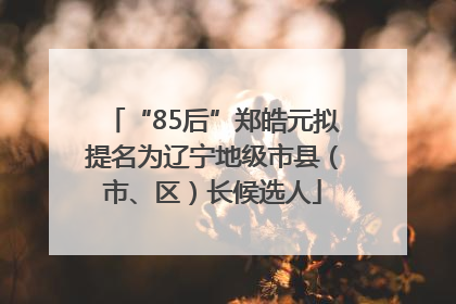 “85后”郑皓元拟提名为辽宁地级市县（市、区）长候选人