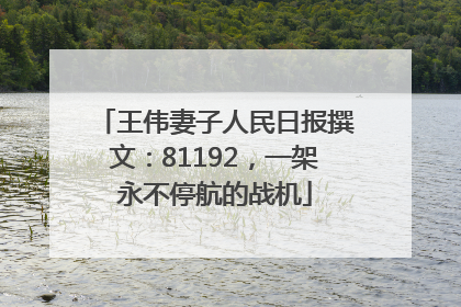 王伟妻子人民日报撰文：81192，一架永不停航的战机