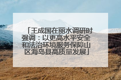王成国在丽水调研时强调：以更高水平安全和法治环境服务保障山区海岛县高质量发展
