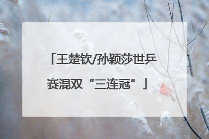 王楚钦/孙颖莎世乒赛混双“三连冠”