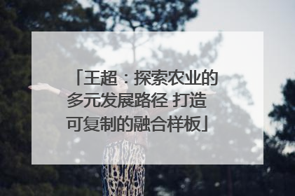 王超：探索农业的多元发展路径 打造可复制的融合样板