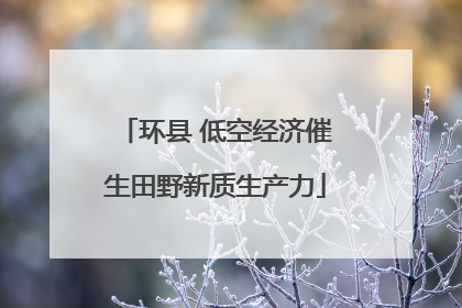 环县 低空经济催生田野新质生产力
