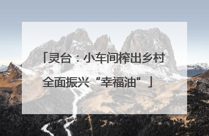 灵台：小车间榨出乡村全面振兴“幸福油”