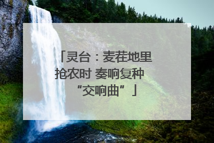 灵台：麦茬地里抢农时 奏响复种“交响曲”