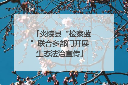 炎陵县“检察蓝”联合多部门开展生态法治宣传