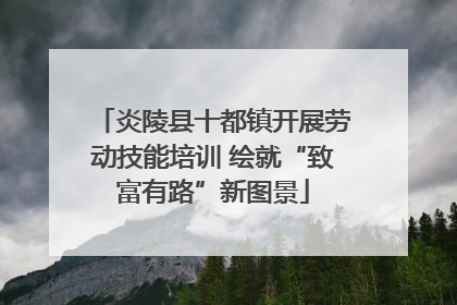炎陵县十都镇开展劳动技能培训 绘就“致富有路”新图景