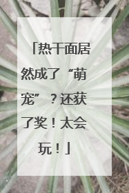 热干面居然成了“萌宠”？还获了奖！太会玩！