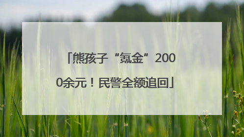 熊孩子“氪金”2000余元！民警全额追回